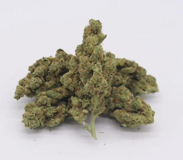 THCA-Hemp-Flower-Bud-What-It-Looks-Like-Strongest-How-To-Look-Grow-Stems-scaled-1 Bloomz THCA Pre-Rolls – 3-Pack/6-Pack