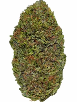 Plain Jane Blue Orchid Hemp Flower