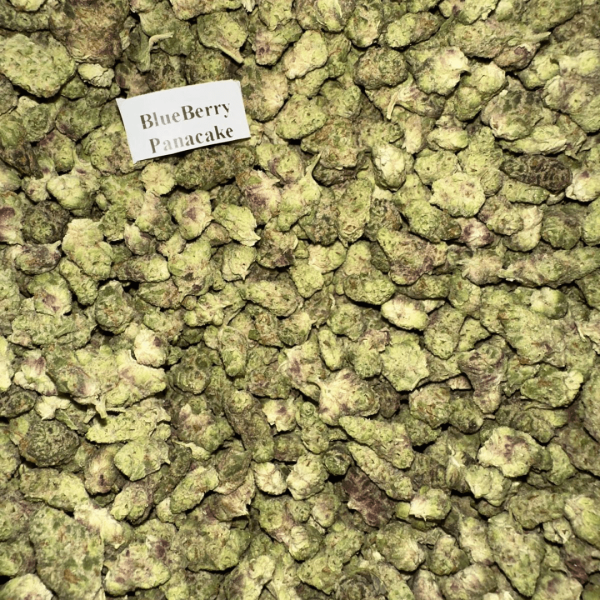 blueberry-pancake-BestPlace-LowestPrice-Coupon-Discount-For-Smoking-Best-High-Smoke-Shop-Online-Near-Me-Strongest-Binoidcca1 Bloomz THCA Flower Smalls – Exotic