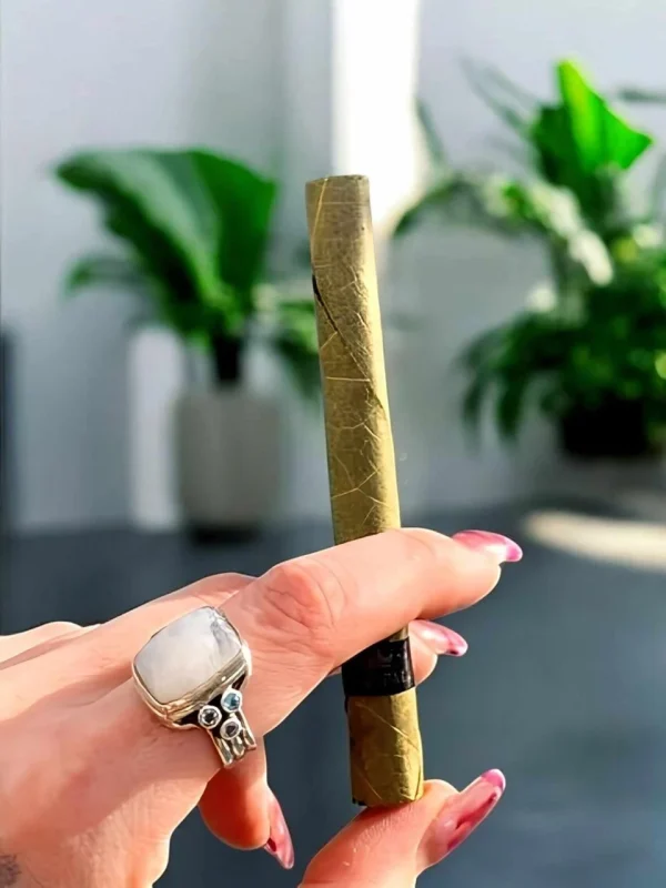 blunt_pic_with_hand__83262.1732730580 King Palm CBD Blunt 1.5g