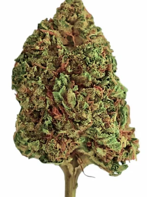 Plain Jane Bubba Kush Hemp Flower