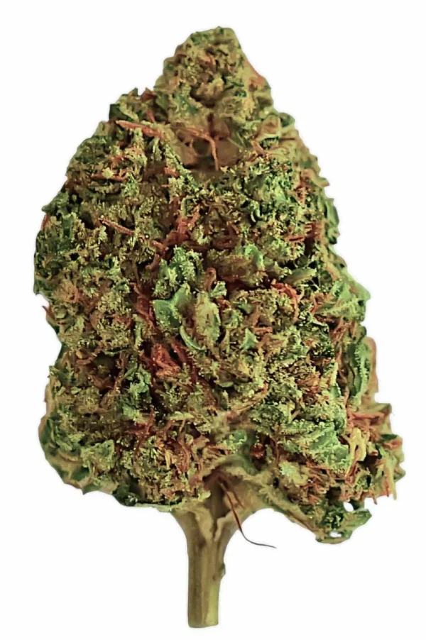 bubba_kush_pj__73069.1738184533 Plain Jane Bubba Kush Hemp Flower