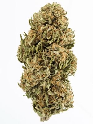 Plain Jane Delta 8 CBG Hemp Flower