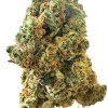Plain Jane Cookie Crunch Indoor Flower