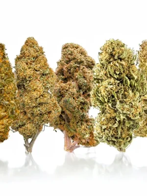Plain Jane Delta 8 Mixed Buds