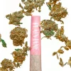 Plain Jane CBD Flower Prerolled Joints