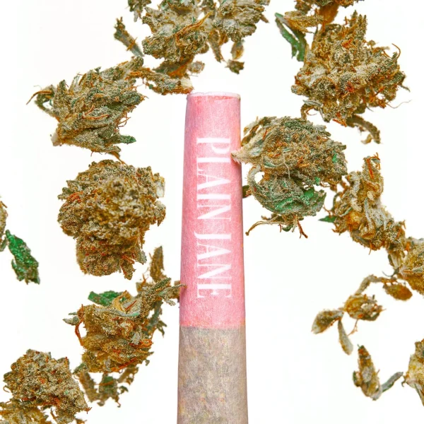 joint_close_up__31358.1741801604 Plain Jane CBD Flower Prerolled Joints
