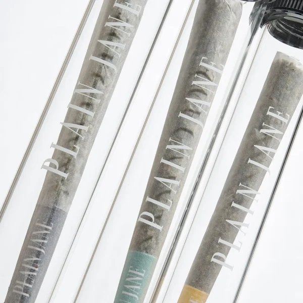 joints_in_tubes_closeup__85129.1741801604 Plain Jane CBD Flower Prerolled Joints