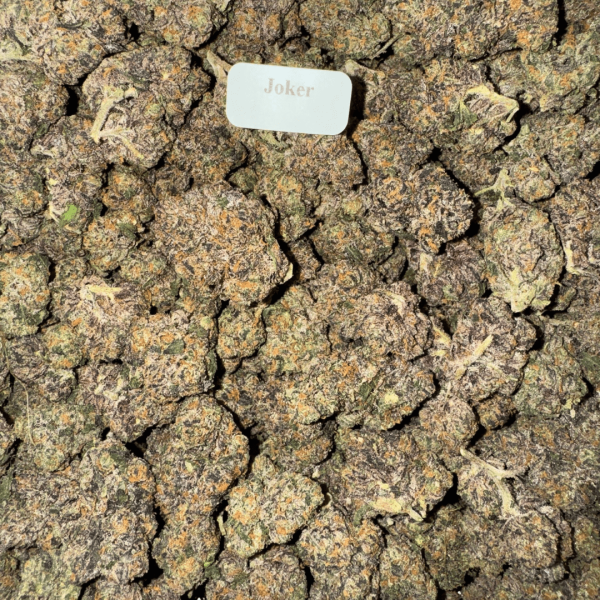 joker-HowToGetNearMe-BestPlace-LowestPrice-Coupon-Discount-For-Smoking-Best-High-Smoke-Shop-Online-Near-Me-StrongestBrand-BestBrand-Where-To-Buy-THC-THCA-D8-D9-H Bloomz THCA Flower – Indoor Exotics – Gold Line – Sativa