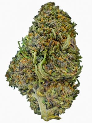 Plain Jane Legendary Platinum OG Hemp Flower