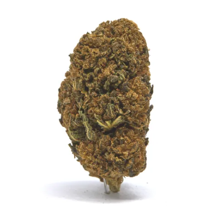lemon-skunk-CBD IHF Fortified Legendary Delta 8 Hemp Flower
