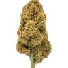 Plain Jane Sour Elektra CBD Flower