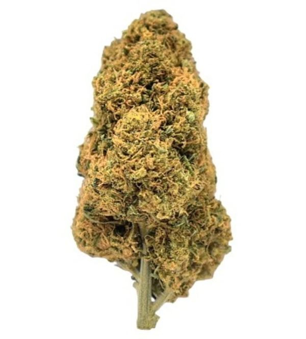 mandarin_hash_pie__19424.17043916364030 Plain Jane Mandarin Hash Pie Indoor Flower