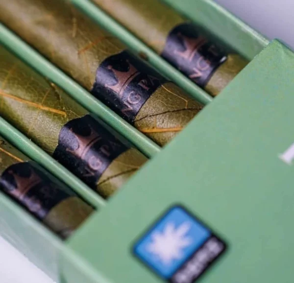 mini_blunt_close_up__80974.1732730876 King Palm Mini CBD Blunt Sampler