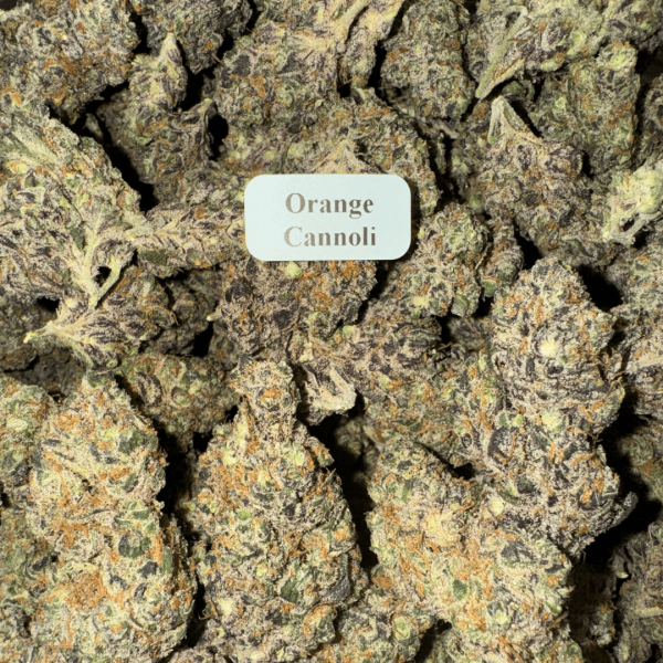 orange-cannoli-WhereToGet-HowToGetNearMe-BestPlace-LowestPrice-Coupon-Discount-For-Smoking-Best-High-Smoke-Shop-Online-Near-Me-StrongestBrand-BestBrand- Bloomz THCA Flower – Indoor Exotics – Gold Line – Hybrid