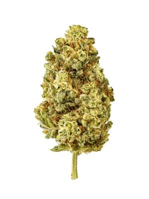 Plain Jane Orange Sangria CBG Indoor Hemp Flower