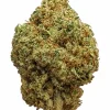 Plain Jane Jelly Donut Indoor Hemp Flower