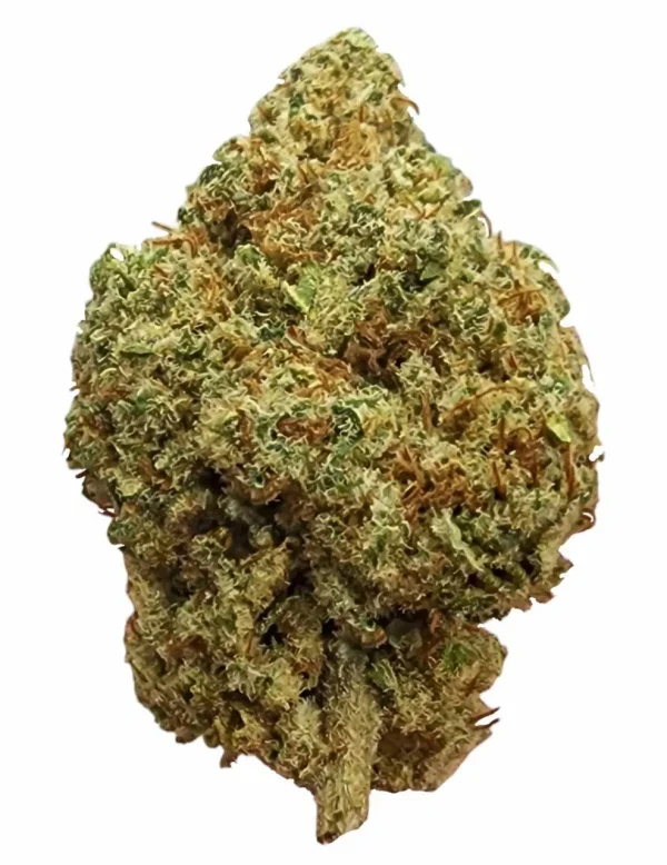 pj_jelly_doughnut__98915.1725581465 Plain Jane Jelly Donut Indoor Hemp Flower