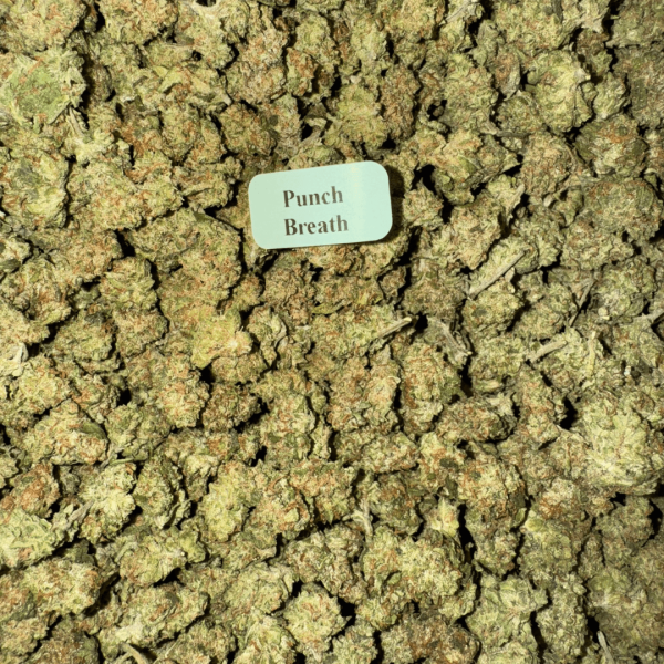 punch-breath-WhereToGet-HowToGetNearMe-BestPlace-LowestPrice-Coupon-Discount-For-Smoking-Best-High-Smoke-Shop-Online-Near-Me-Strongest-Binoidcca1 Bloomz THCA Flower Smalls