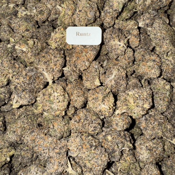 runtz-HowToGetNearMe-BestPlace-LowestPrice-Coupon-Discount-For-Smoking-Best-High-Smoke-Shop-Online-Near-Me-StrongestBrand-BestBrand-Where-To-Buy-THC-THCA-D8-D9-H Blazed Exotic THCA Flower – Hybrid