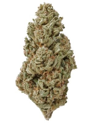 Plain Jane Berry Blossom Hemp Flower
