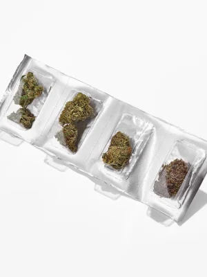 Plain Jane Flower Sampler Pack