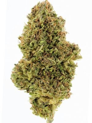 Plain Jane Sour Chem Hemp Flower