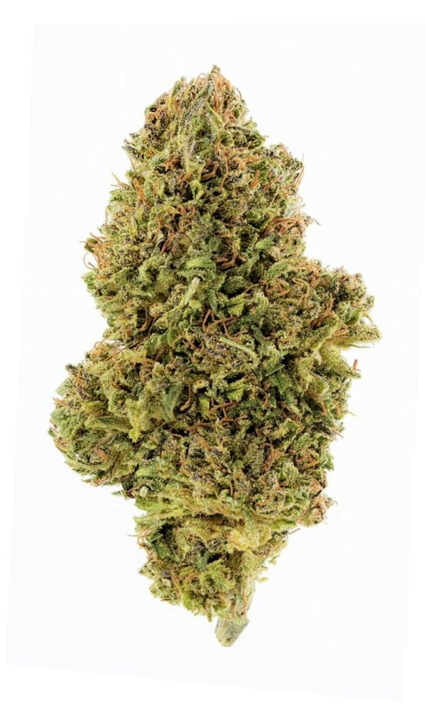 sour_chem_flower_pic__47962.1704389678ae91 Plain Jane Sour Chem Hemp Flower
