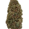 Plain Jane Sour Special Sauce Hemp Flower