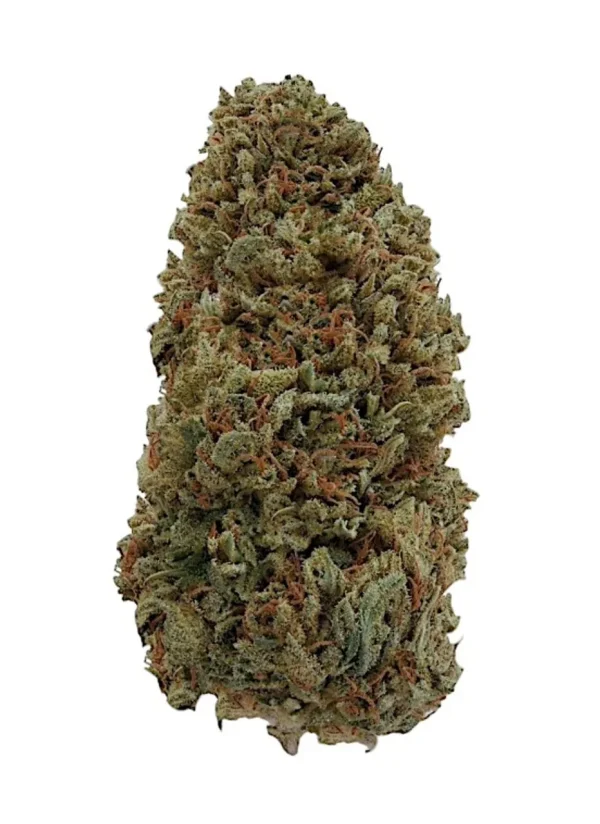 sour_special_sauce_pic__53809.1725229343 Plain Jane Sour Special Sauce Hemp Flower