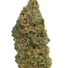 Plain Jane Tangie Hemp Flower