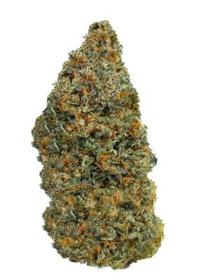 Plain Jane Tangie Hemp Flower