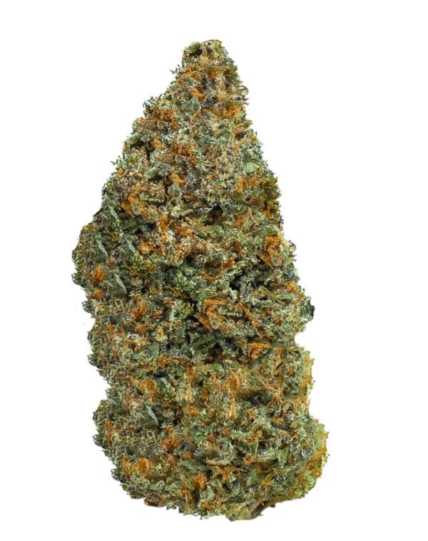 tangie_pic__31640.172654075888e2 Plain Jane Tangie Hemp Flower