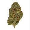 Plain Jane Turbo Diesel Indoor Flower