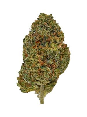 Plain Jane Turbo Diesel Indoor Flower