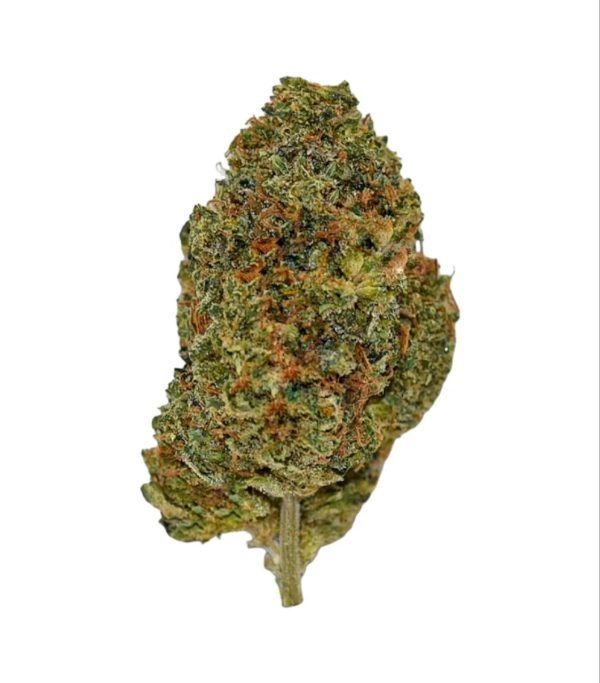 turbo_diesel_pic__67275.17381842675d52 Plain Jane Turbo Diesel Indoor Flower