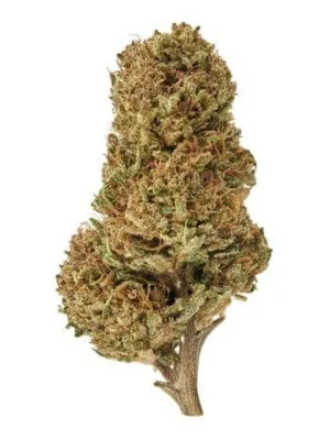 Plain Jane Delta 8 Sour Space Candy Hemp Flower