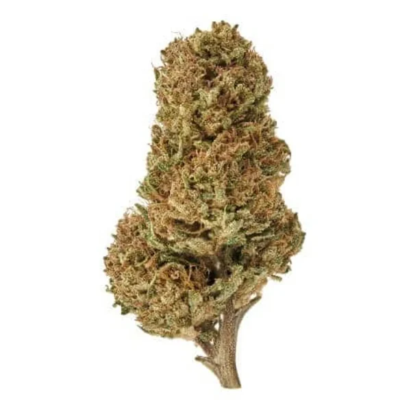 Plain Jane Delta 8 Sour Space Candy Hemp Flower