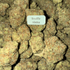 Blazed Exotic THCA Flower – Sativa