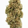 Plain Jane Delta 8 CBG Hemp Flower