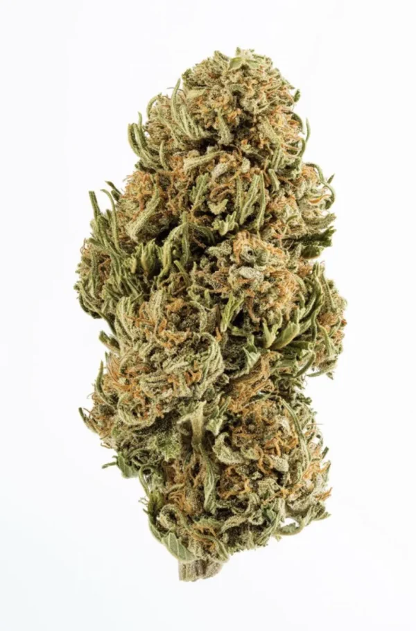 Plain Jane Delta 8 CBG Hemp Flower